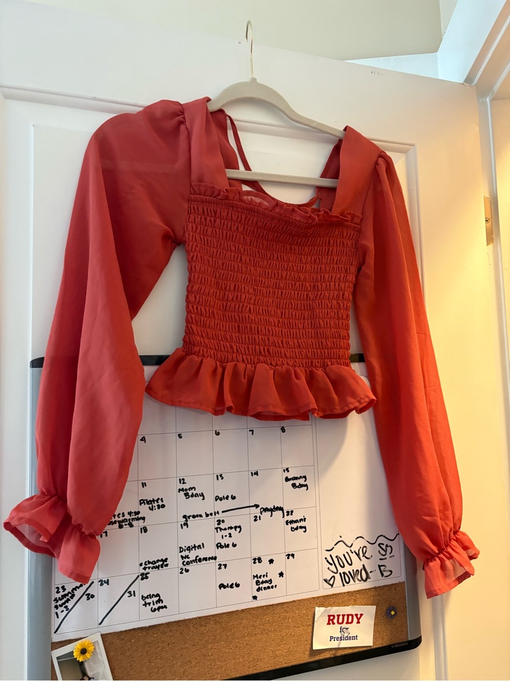 Chance or Fate Rust Red Smocked Peplum Blouse